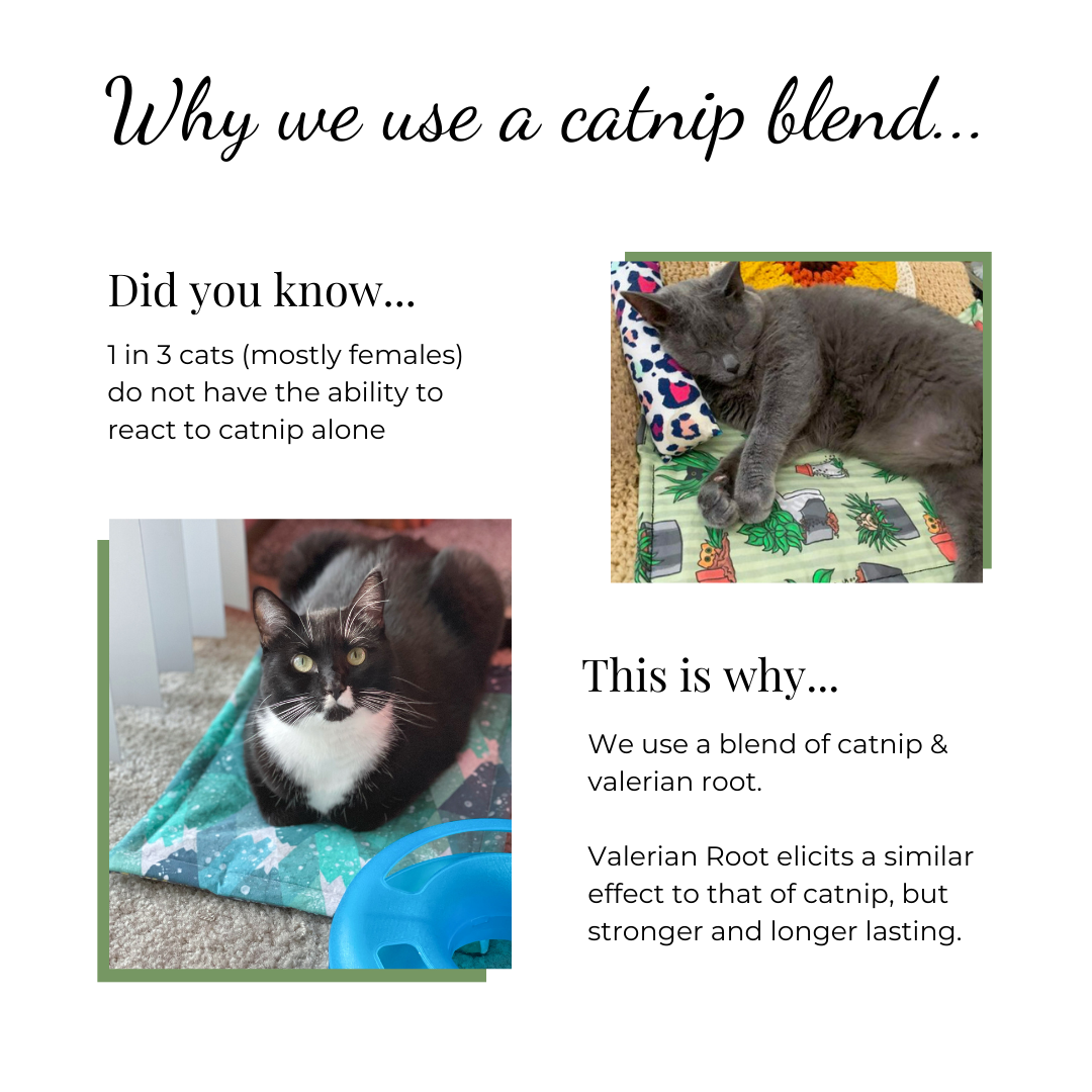 Why The Luminous Pets uses catnip and valerian root blend