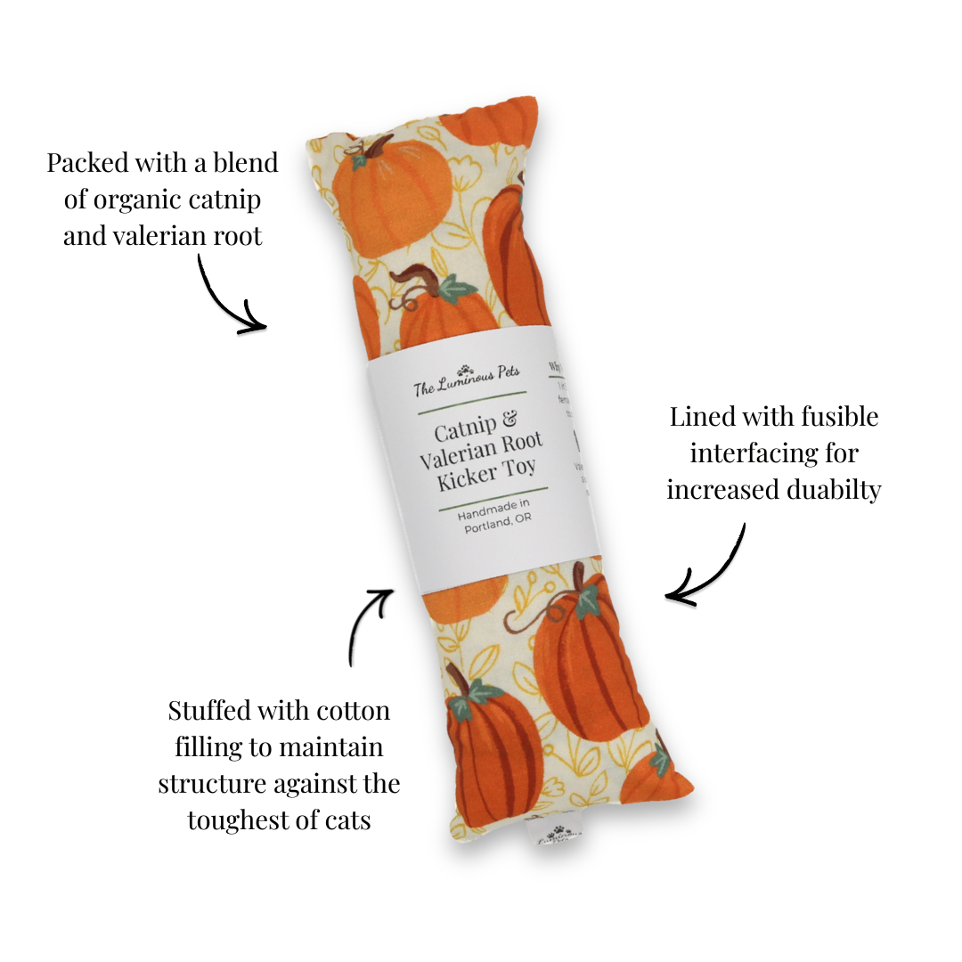 Catnip with valerian root cat toy by Luminous Pets _ Painted Pumpkins Autumn