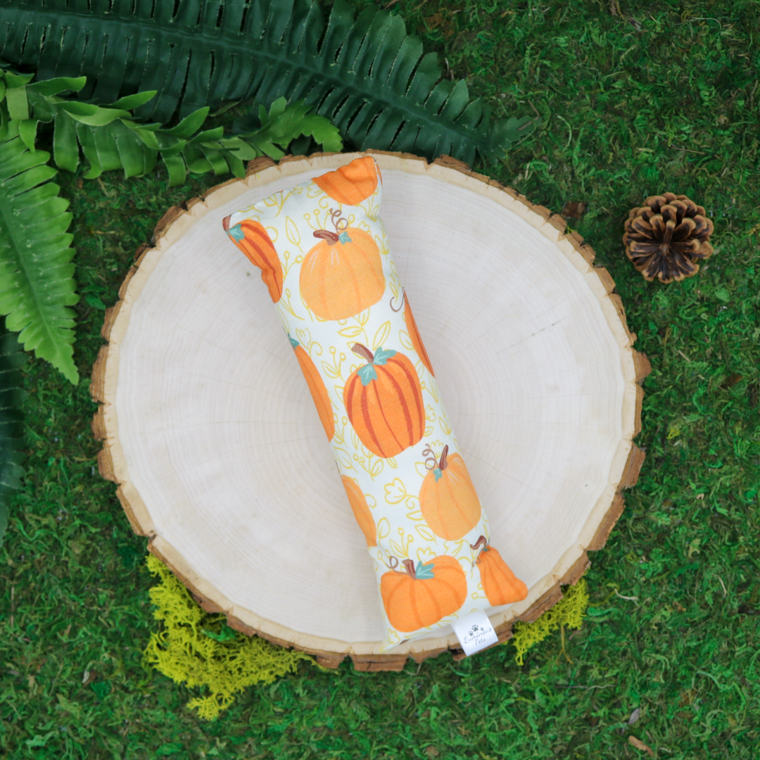 Catnip with valerian root cat toy by Luminous Pets _ Painted autumn pumpkins