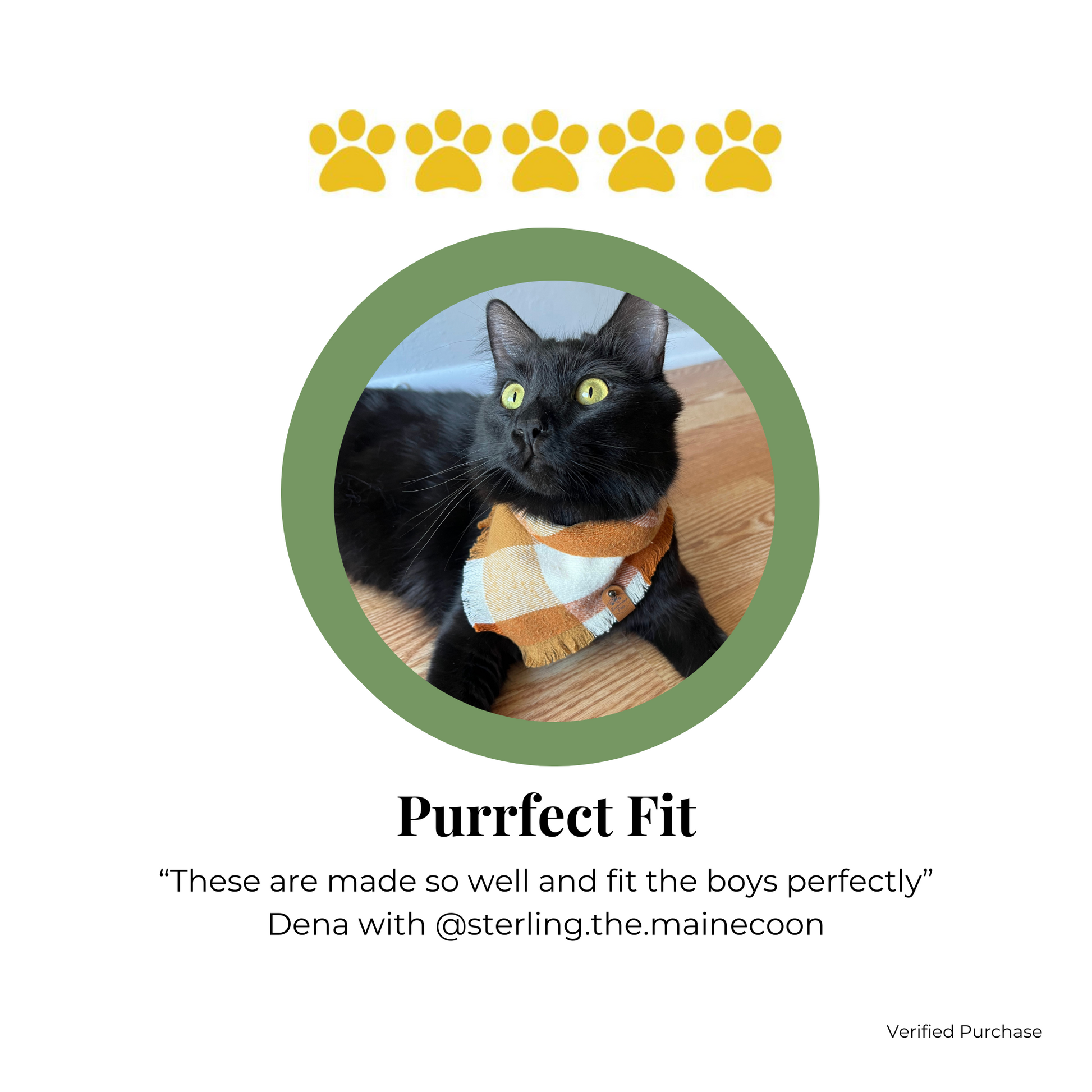 Customer Review of Snap on Bandanas for Cat by The Luminous Pets