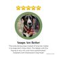 Customer review of snap on bandana for dogs and cats | Handmade by The Luminous Pets