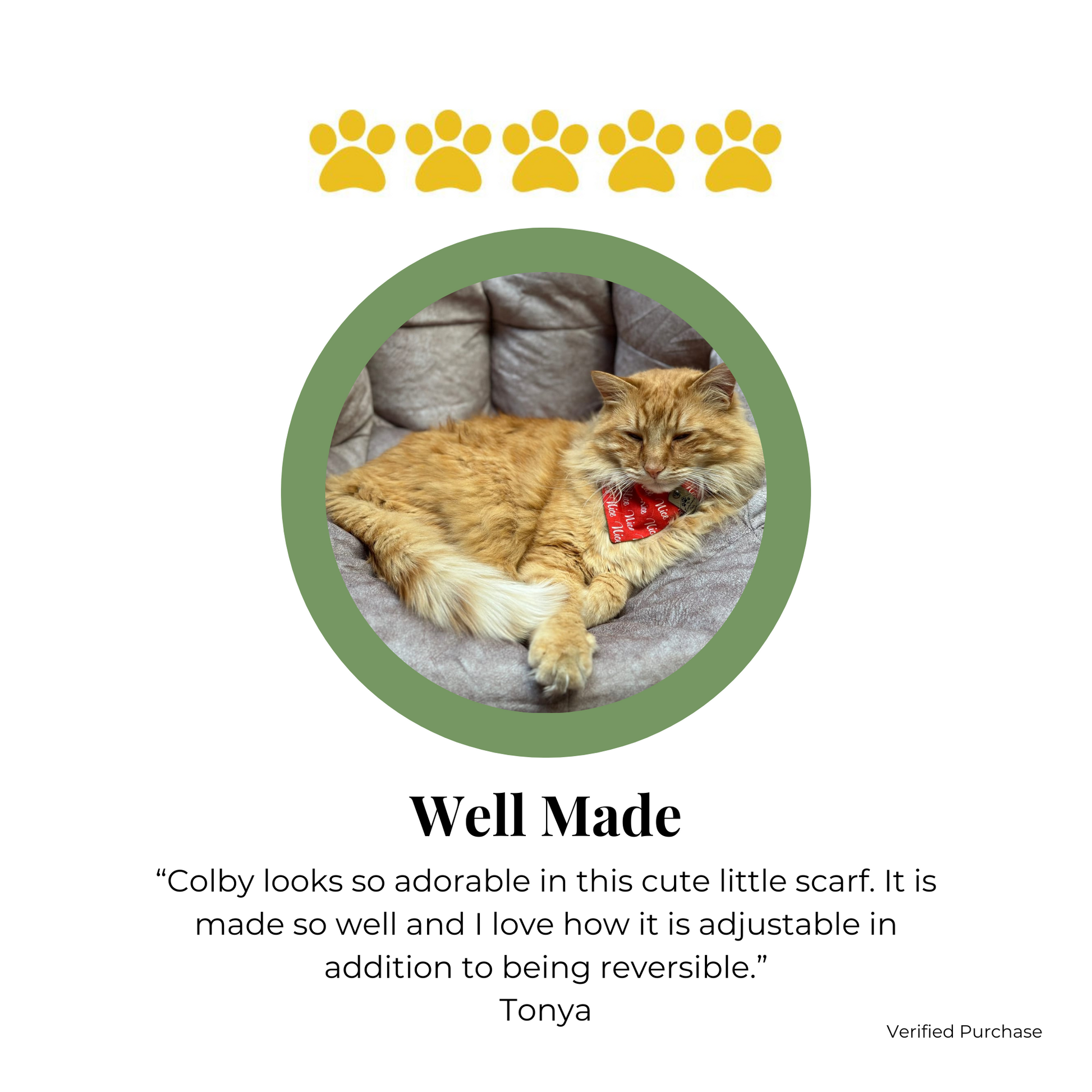 Customer review of reversible cat bandana | Handmade pet accessories by The Luminous Pets