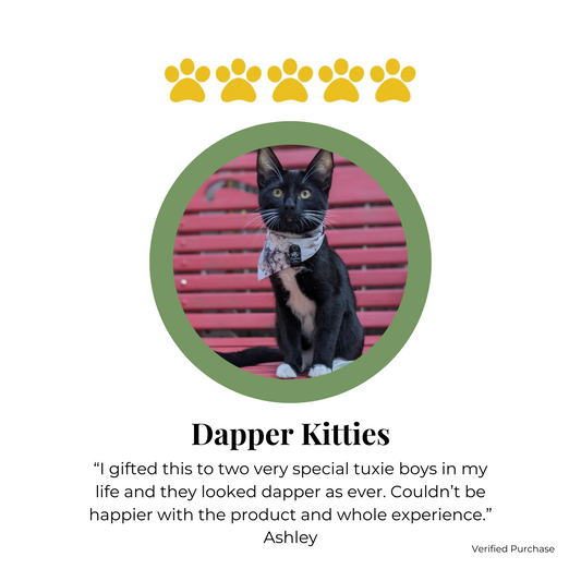 Customer Reviews of Reversible Cat Bandanas | Handmade snap on pet accessories by The Luminous Pets