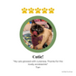 Customer Review for Cat Snap On Bandanas for The Luminous Pets