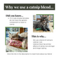 Effects of Catnip and Valerian Root on cats | The Luminous Pets