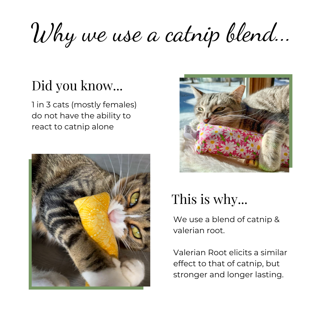 The Luminous Pets Why we use a catnip blend | Catnip and Catnip Alternative Valerian Root