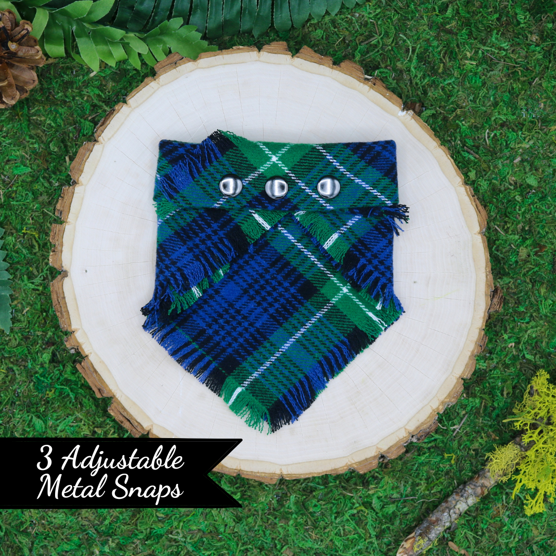 Frayed plaid snap on pet bandana by The Luminous Pets | Blue and green plaid 