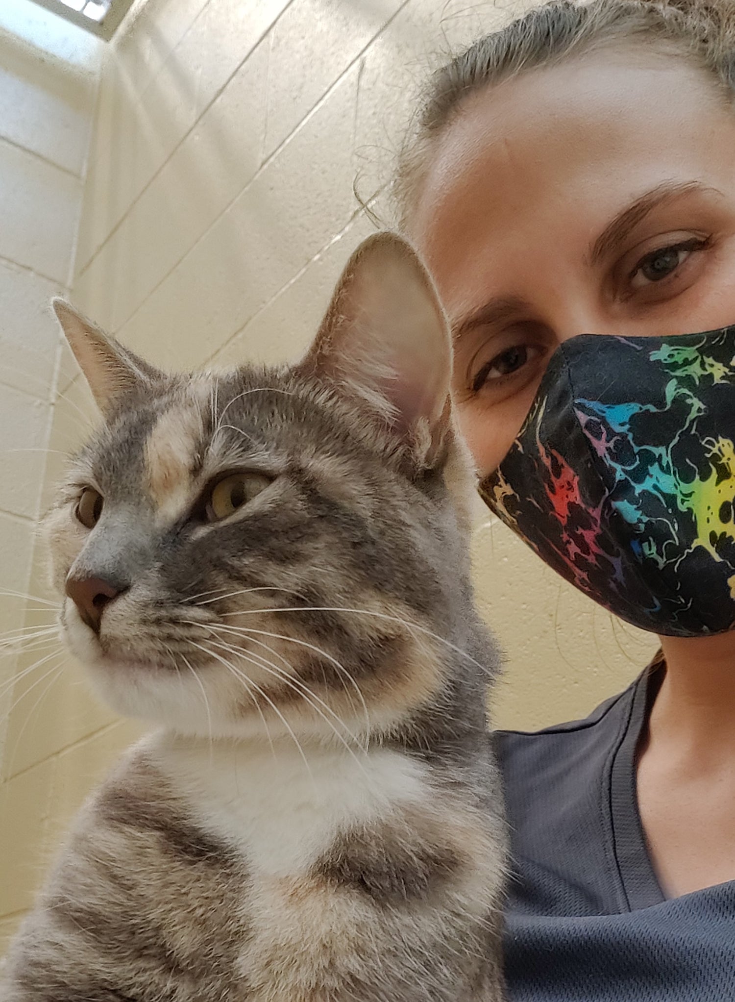 Founder Josie hanging out with a shelter cat