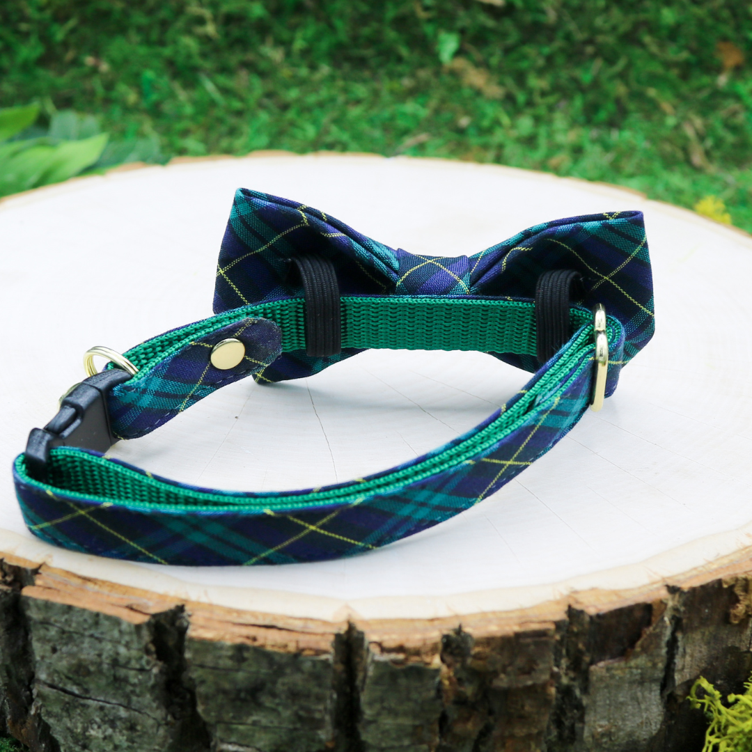 Made by Cleo cat bow tie and breakaway collar - Hunter Green and blue plaid 