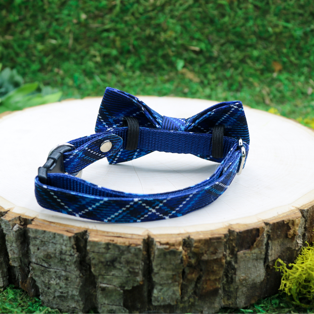 Navy plaid cat bow tie and breakaway collar by Made by Cleo