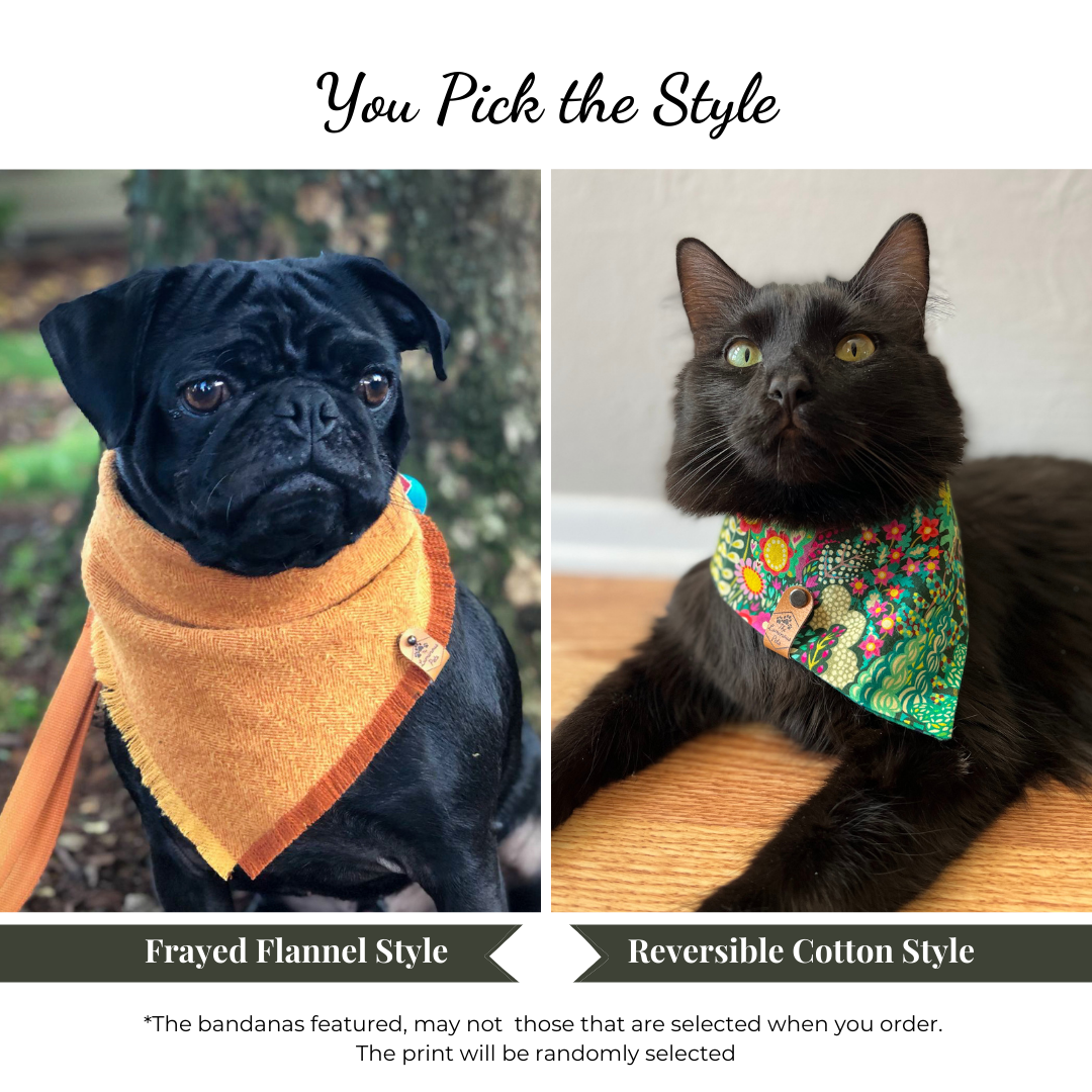 Frayed flannel or reversible cotton style snap on pet bandanas | The Luminous Pets