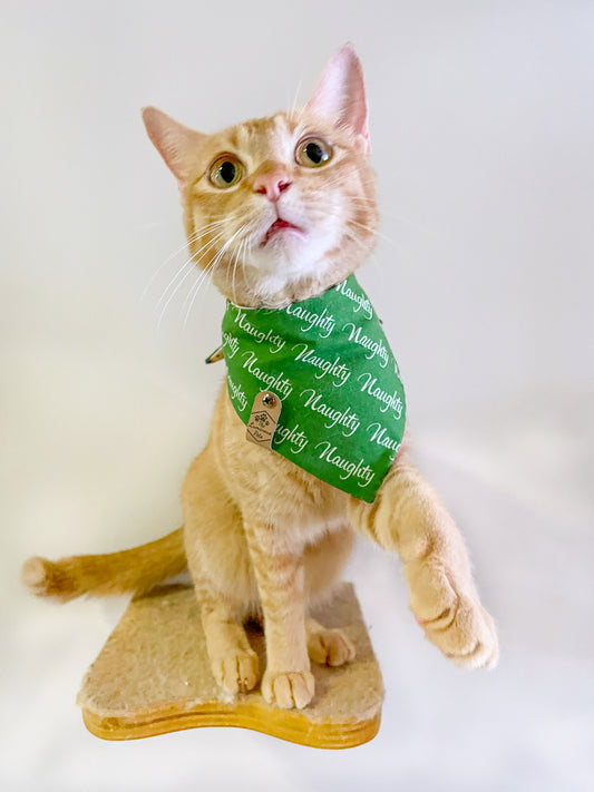 Naughty List Cat Bandana | Snap on cat accessories by The Luminous Pets