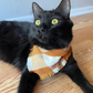 Black cat in bandana | Orange and white plaid bandana handmade by The Luminous Pets