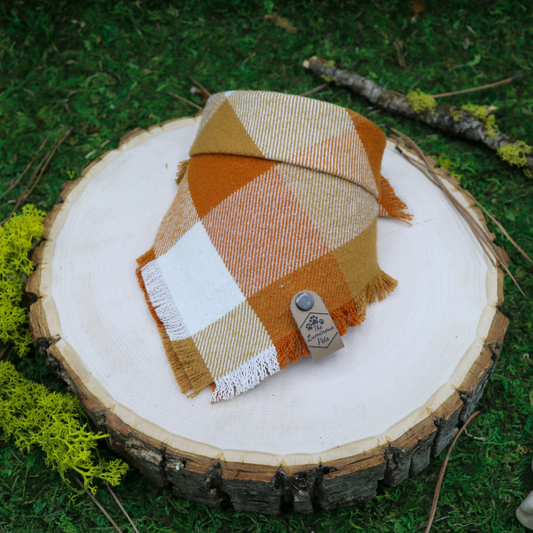Orange and white plaid pet bandana | Handmade by The Luminous Pets