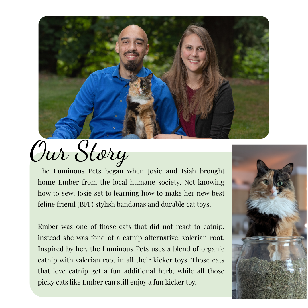 About The Luminous Pets