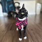 Pepper Tuxedo Cat in Pink and Black Flannel Bandana by The Luminous Pets