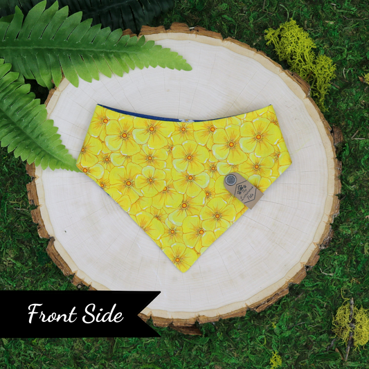 Yellow poppies cat bandana with snap on design | Pet Accessories handmade by The Luminous Pets