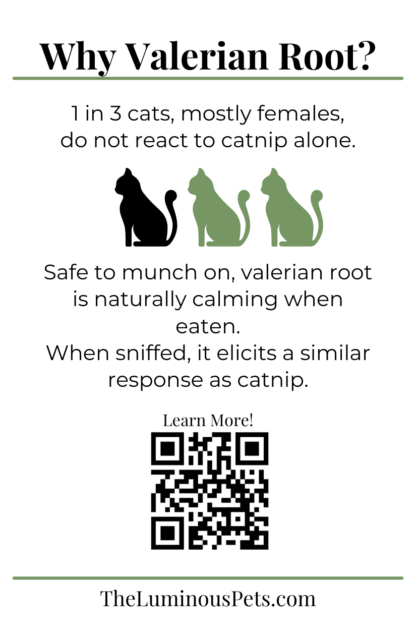 Why The Luminous Pets Adds in Valerian Root to Catnip