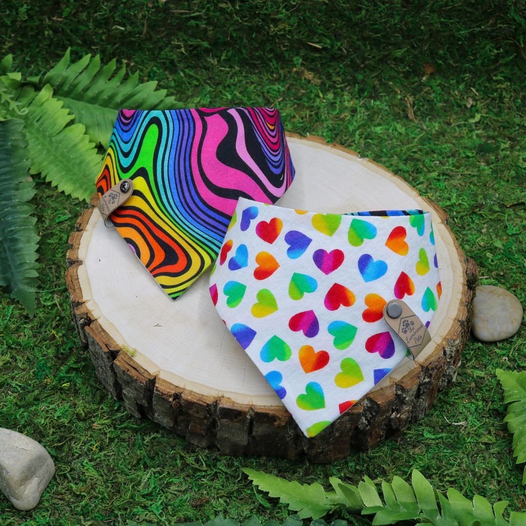 Pride Pet Bandana with Rainbow Hearts | Snap on Bandanas by The Luminous Pets