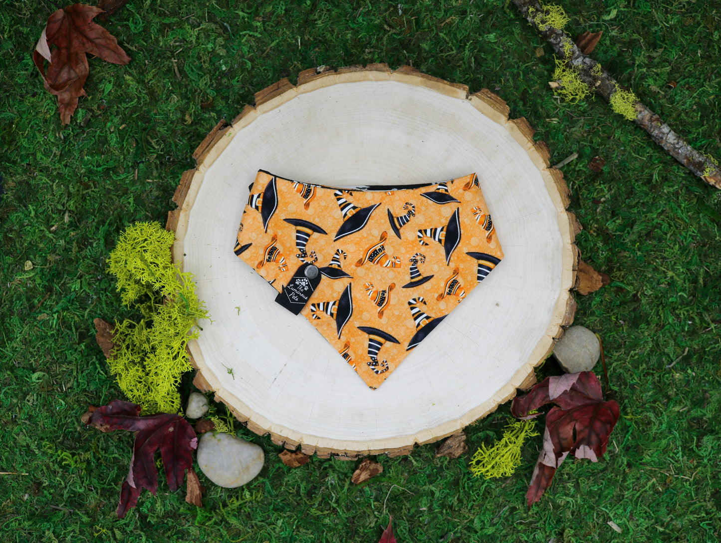 Halloween Witches Pet Bandana for Dogs and Cats | Snap on bandana by The Luminous Pets