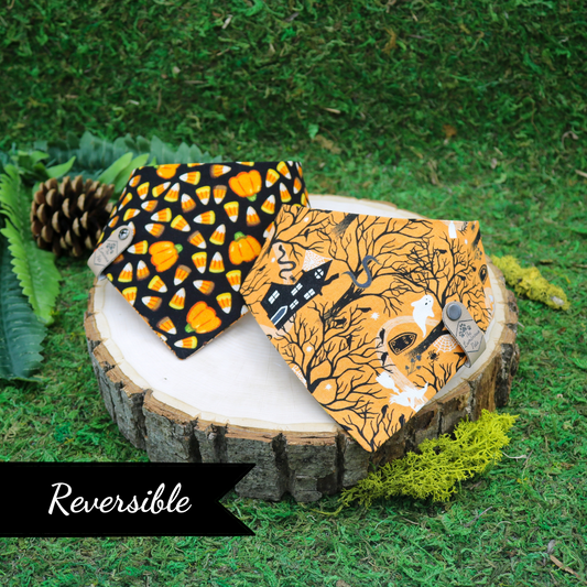 Reversible Halloween-themed snap on pet bandanas  with bats and Halloween icons by The Luminous Pets