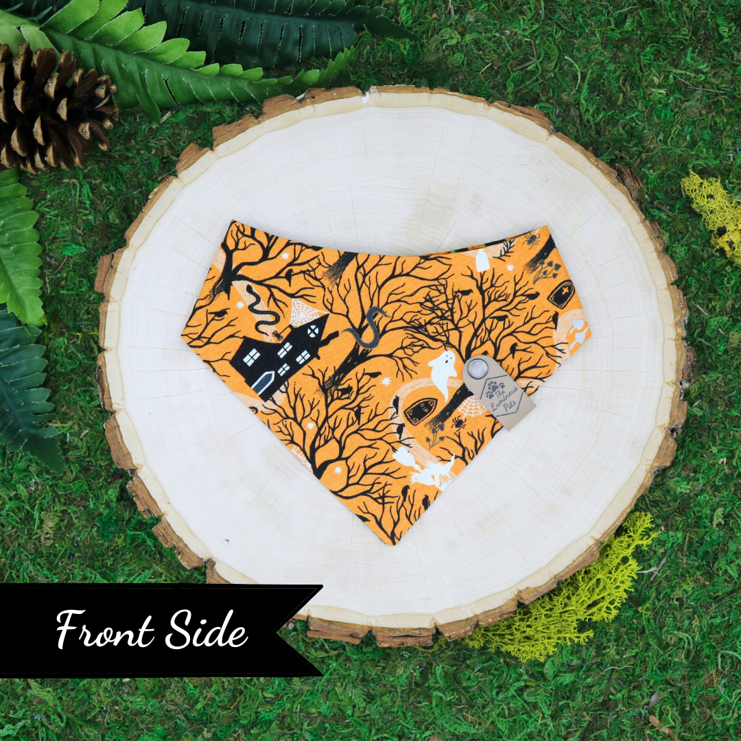 Reversible Halloween-themed snap on pet bandanas  with bats and Halloween icons by The Luminous Pets