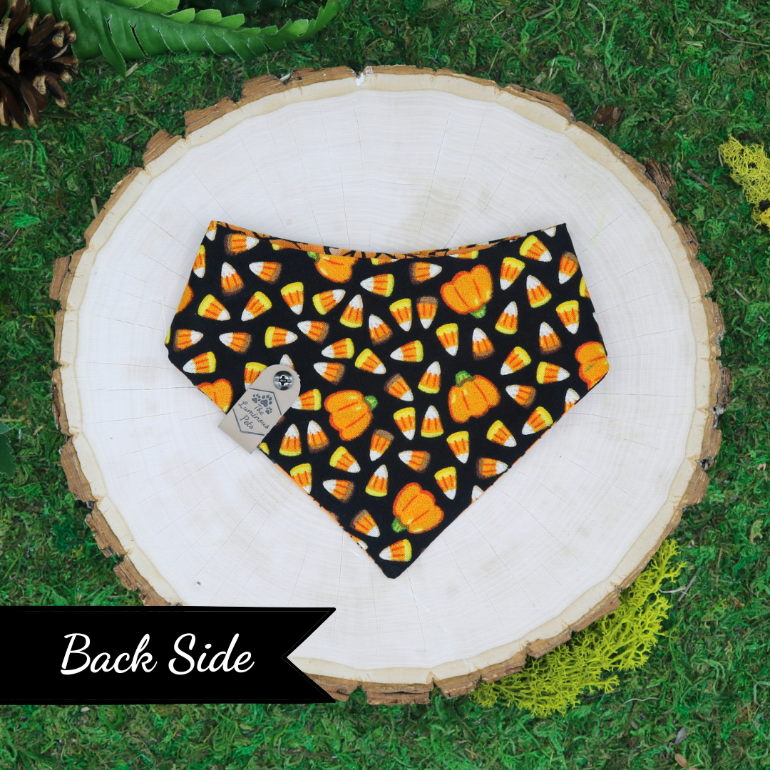 Reversible Halloween-themed snap on pet bandanas  with bats and Halloween icons by The Luminous Pets