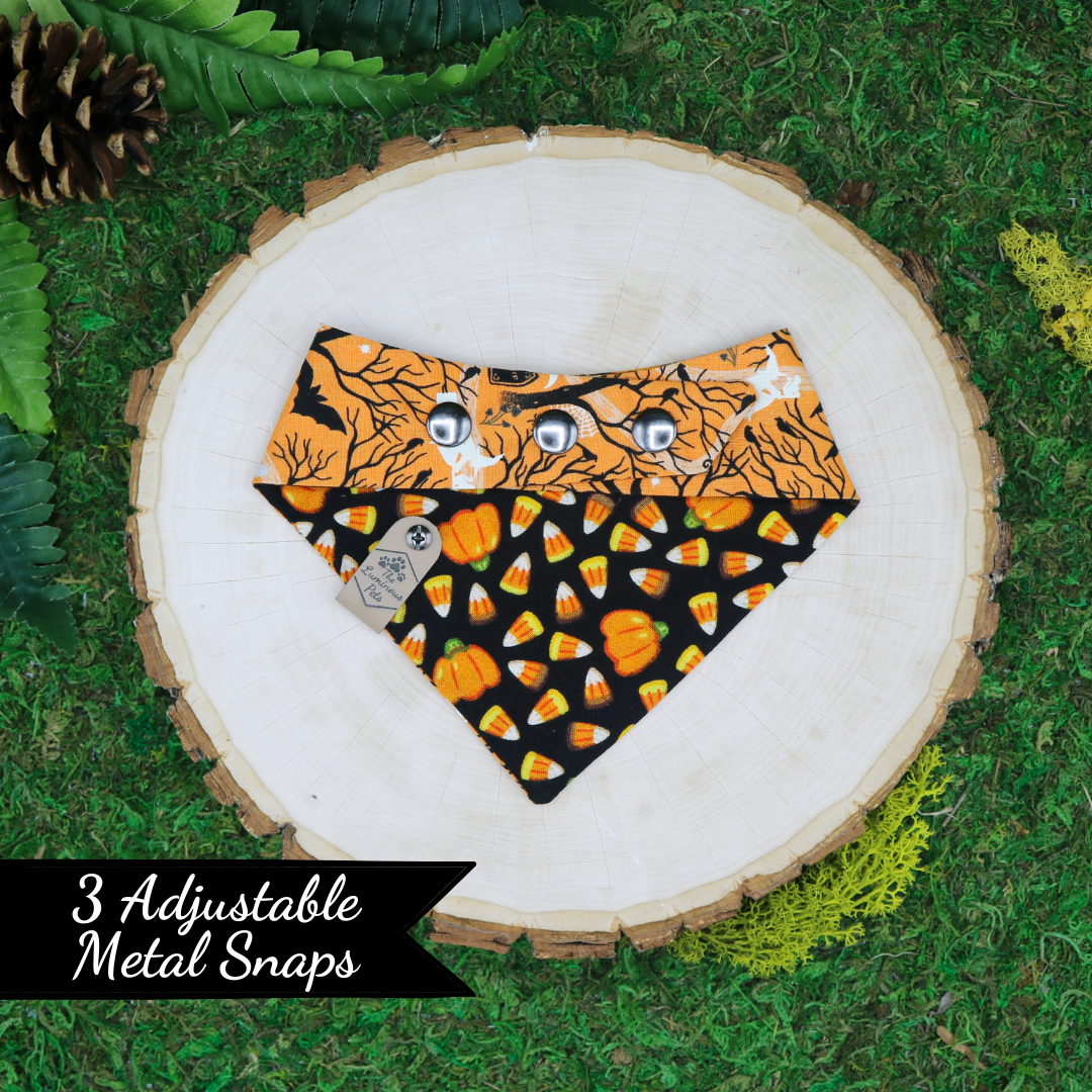 Reversible Halloween-themed snap on pet bandanas  with bats and Halloween icons by The Luminous Pets
