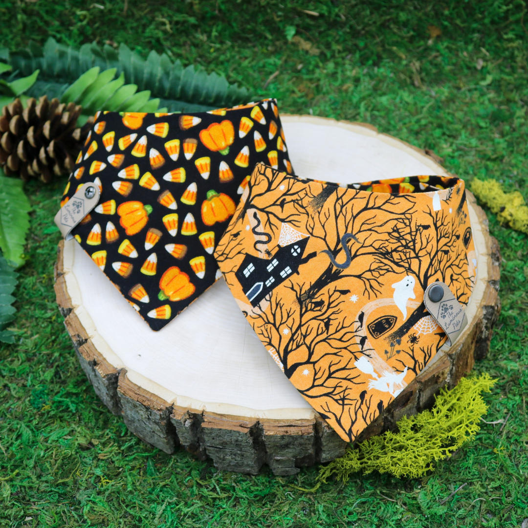 Reversible Halloween-themed snap on pet bandanas  with bats and Halloween icons by The Luminous Pets