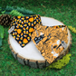 Reversible Halloween-themed snap on pet bandanas  with bats and Halloween icons by The Luminous Pets