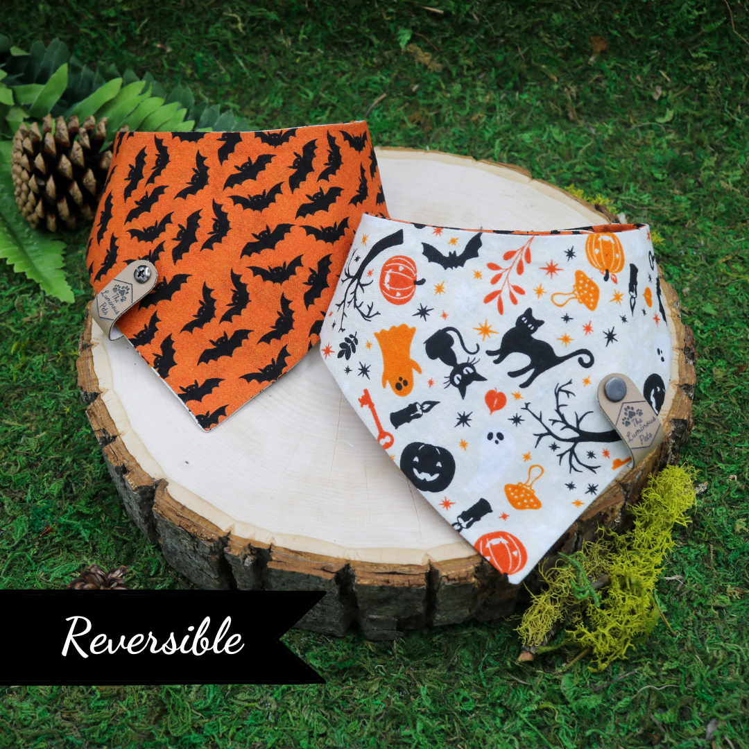 Reversible Halloween-themed pet bandanas  with bats and Halloween icons by The Luminous Pets