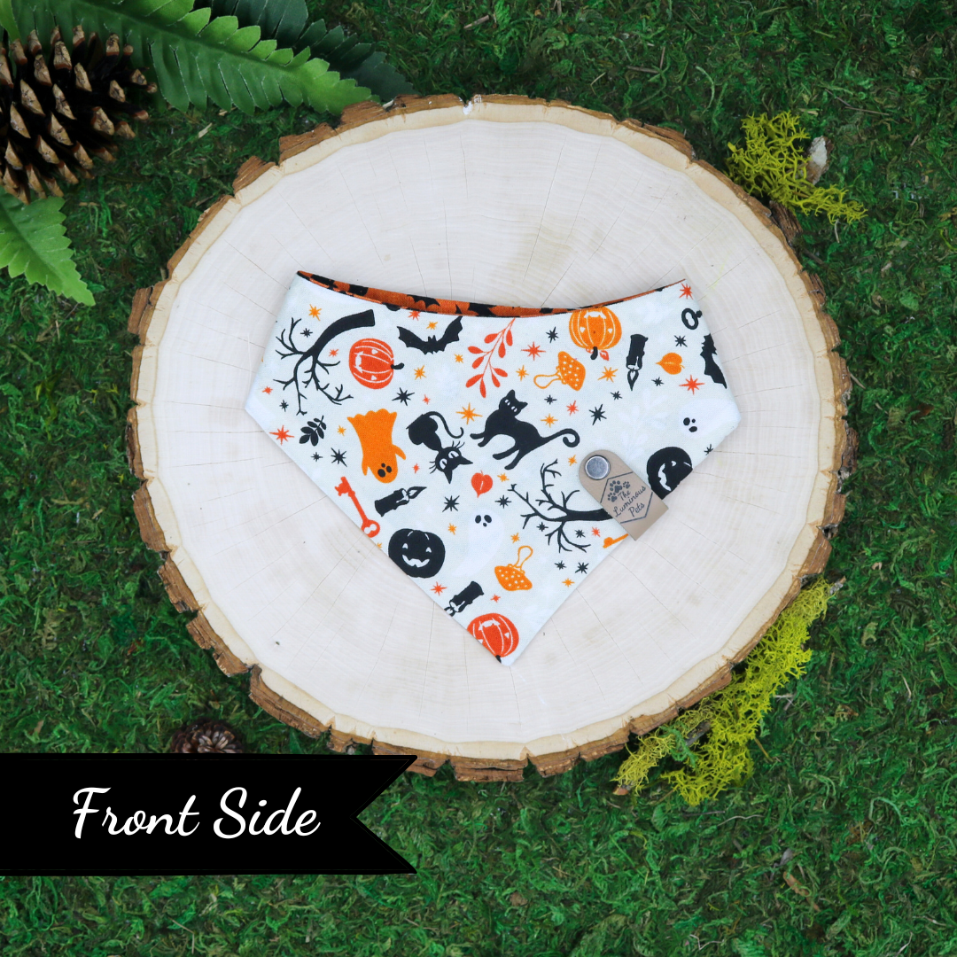 Reversible Halloween-themed pet bandanas  with bats and Halloween icons by The Luminous Pets