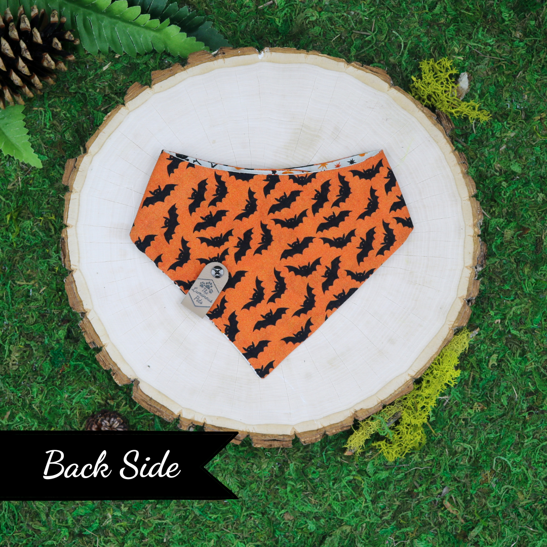 Reversible Halloween-themed pet bandanas  with bats and Halloween icons by The Luminous Pets