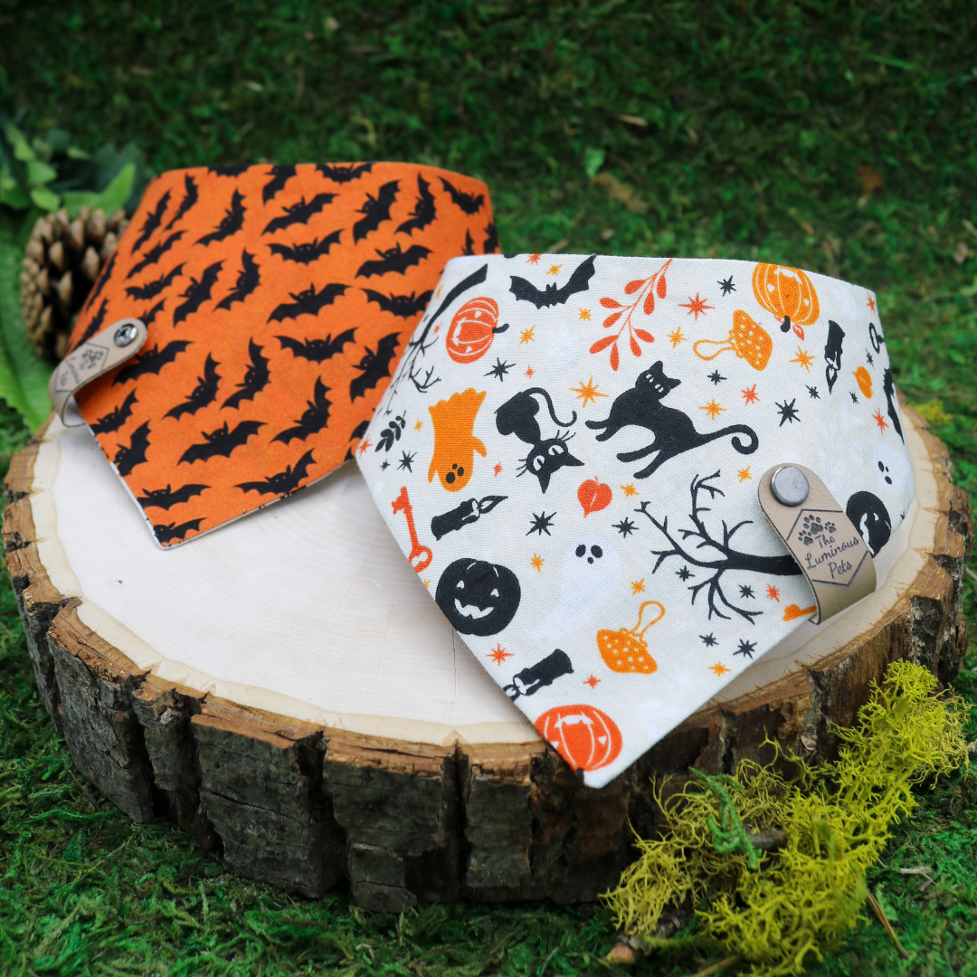 Reversible Halloween-themed pet bandanas  with bats and Halloween icons by The Luminous Pets