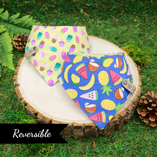Reversible snap on cat and dog bandana | Summer fruits and popsicles | Handmade by The Luminous Pets