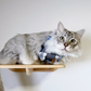 Fluffy grey tabby in snap on plaid bandana | Handmade cat accessories by The Luminous Pets