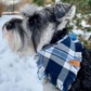 Dog bandana | blue and white plaid bandana handmade by The Luminous Pets