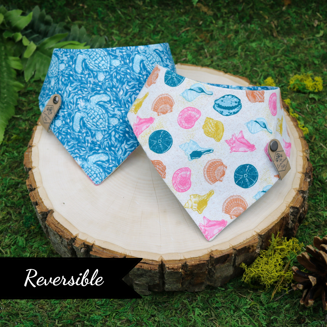 Snap on bandanas for cats and dogs by Luminous Pets - Summer Seashells and turtles