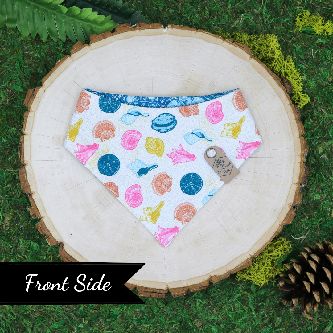 Snap on reveresible bandanas for cats and dogs by Luminous Pets - Summer Seashells and turtles