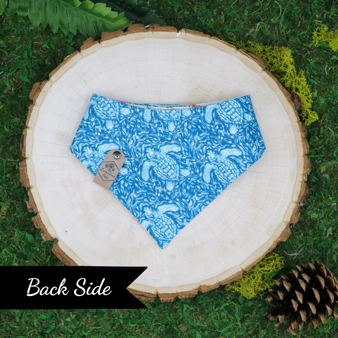 Snap on reveresible bandanas for cats and dogs by Luminous Pets - Summer Seashells and turtles