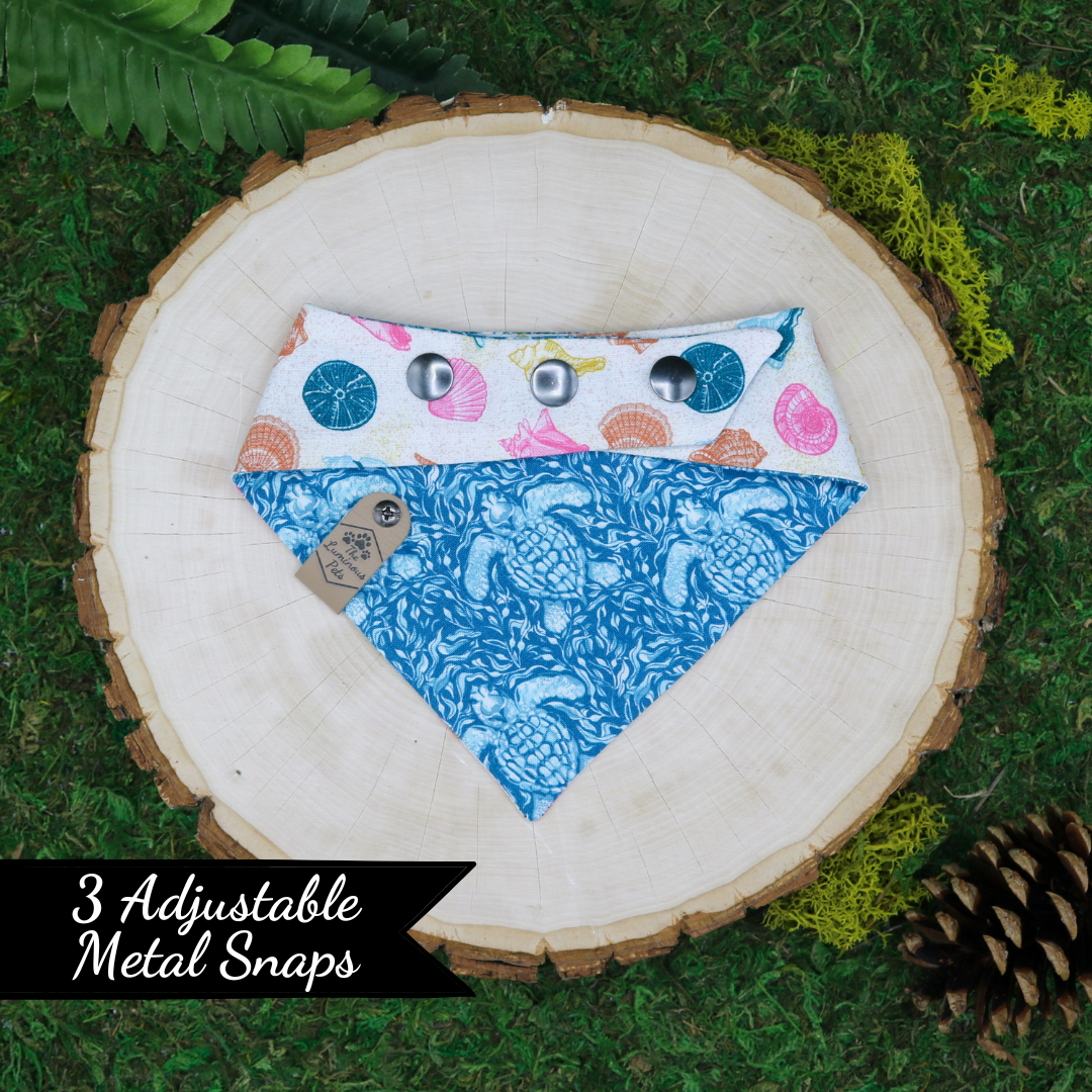 Snap on reveresible bandanas for cats and dogs by Luminous Pets - Summer Seashells and turtles