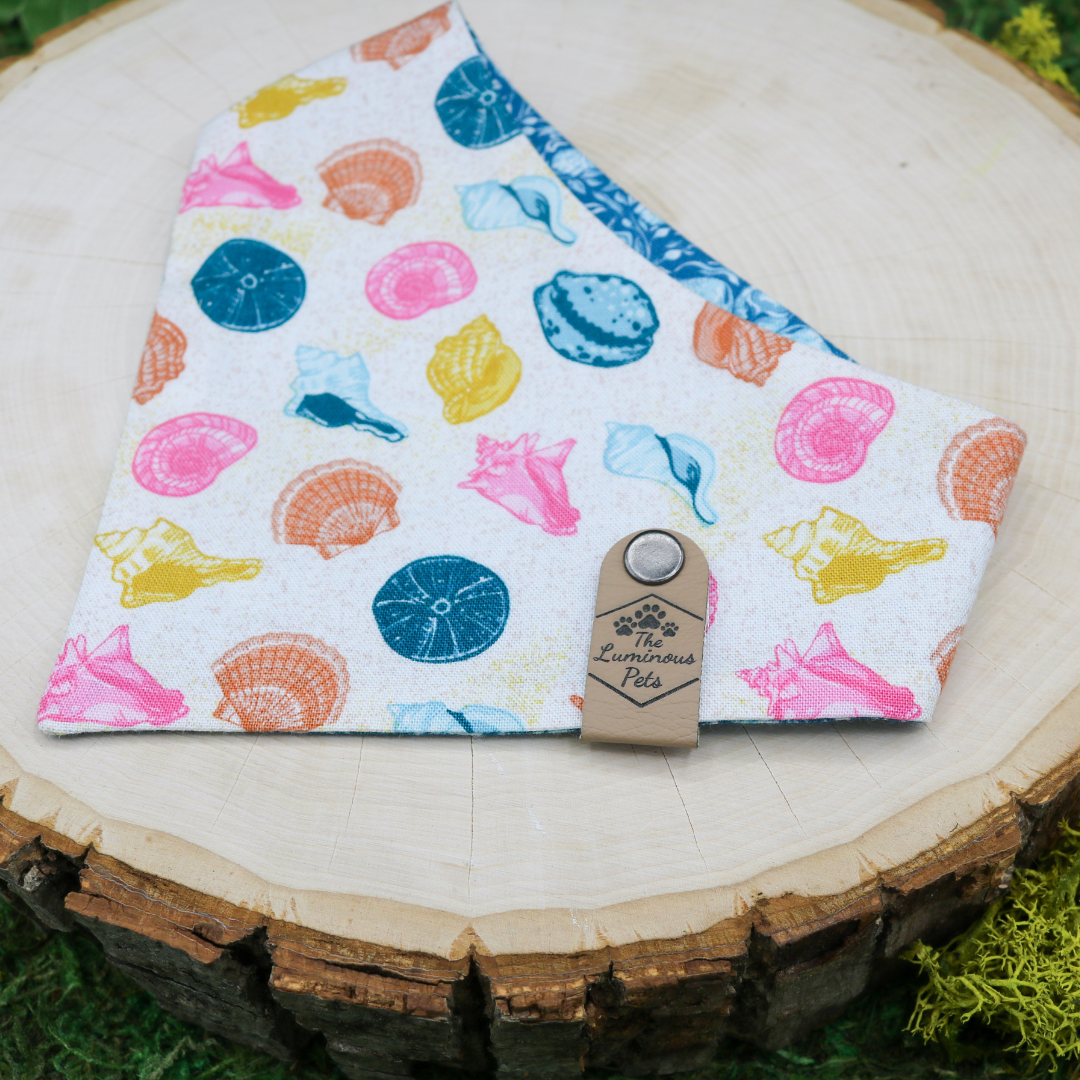 Snap on reveresible bandanas for cats and dogs by Luminous Pets - Summer Seashells and turtles