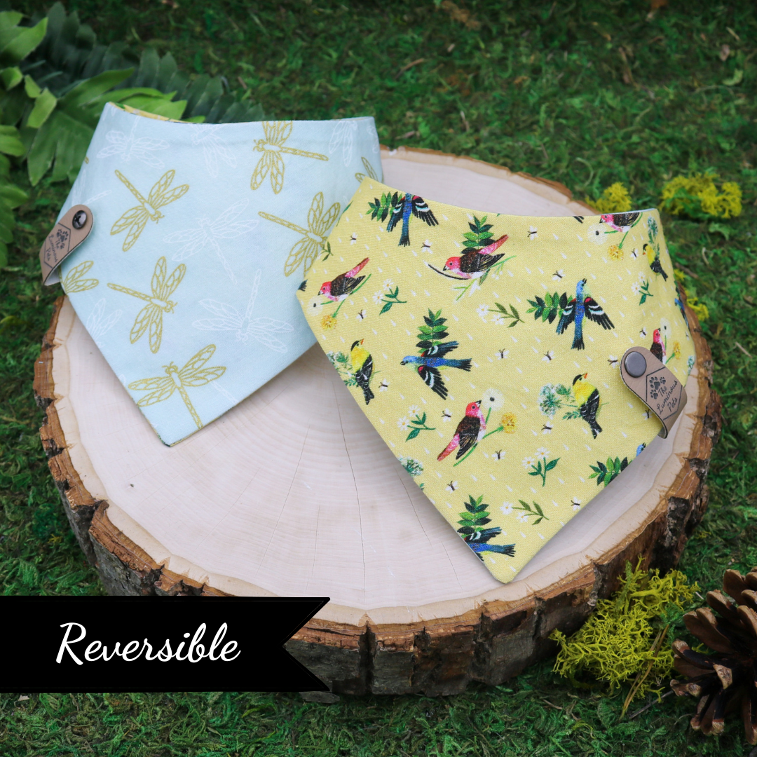 Snap on reveresible bandanas for cats and dogs by Luminous Pets - Spring birds and dragonflies