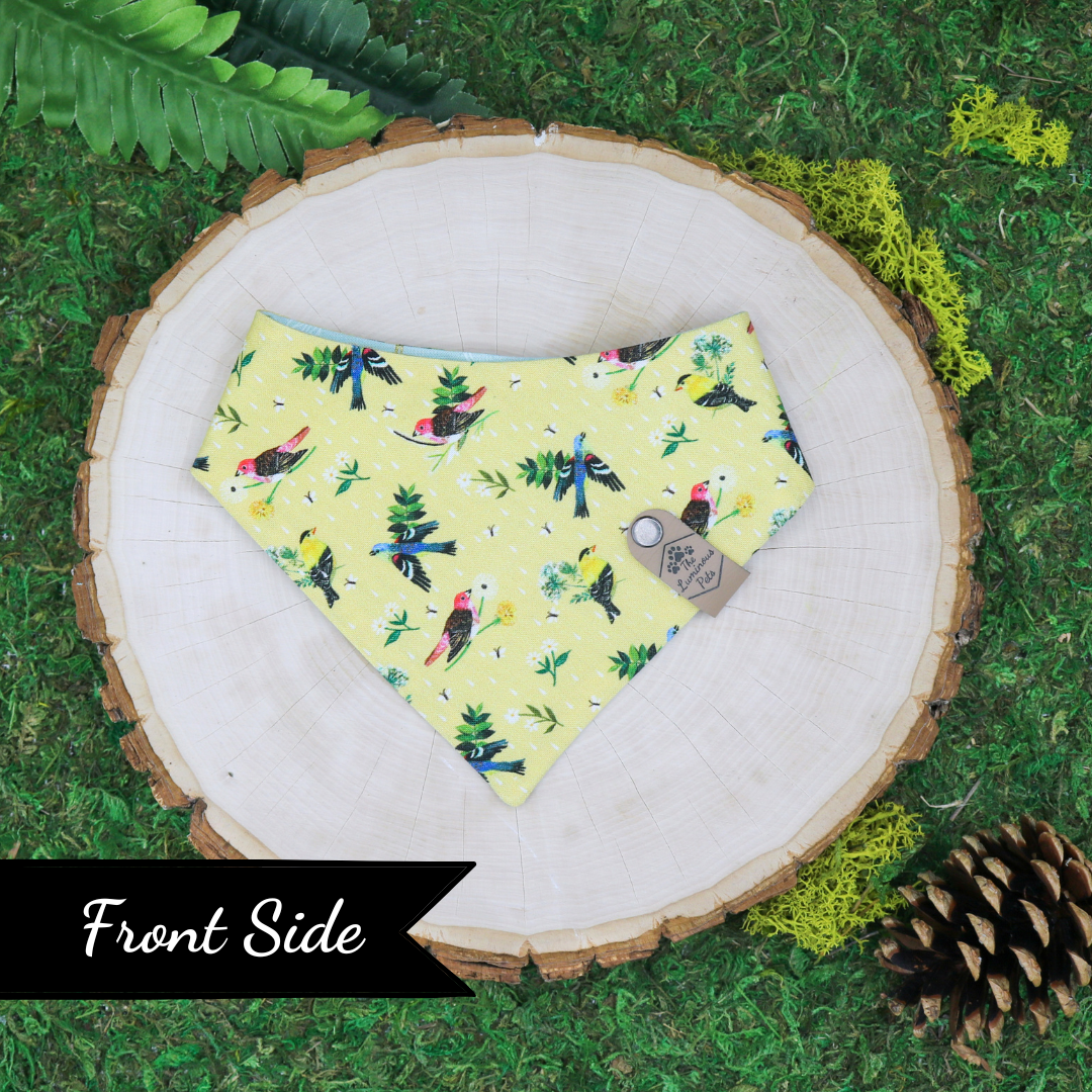 Snap on reveresible bandanas for cats and dogs by Luminous Pets - Spring birds and dragonflies