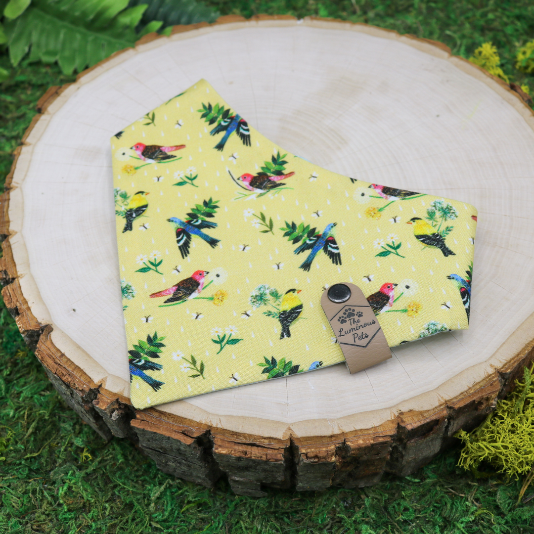 Snap on reveresible bandanas for cats and dogs by Luminous Pets - Spring birds and dragonflies