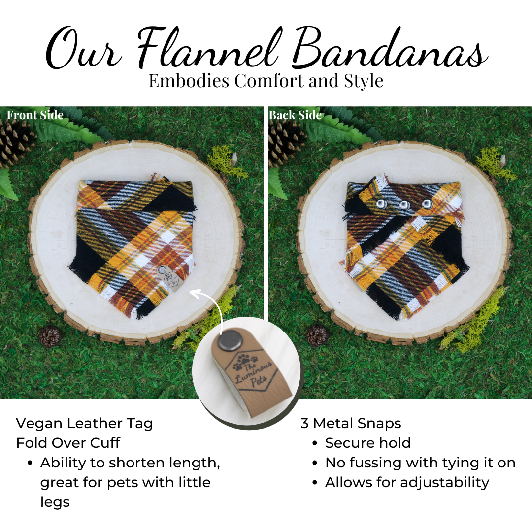 Black and yellow plaid  snap on pet bandana by The Luminous Pets