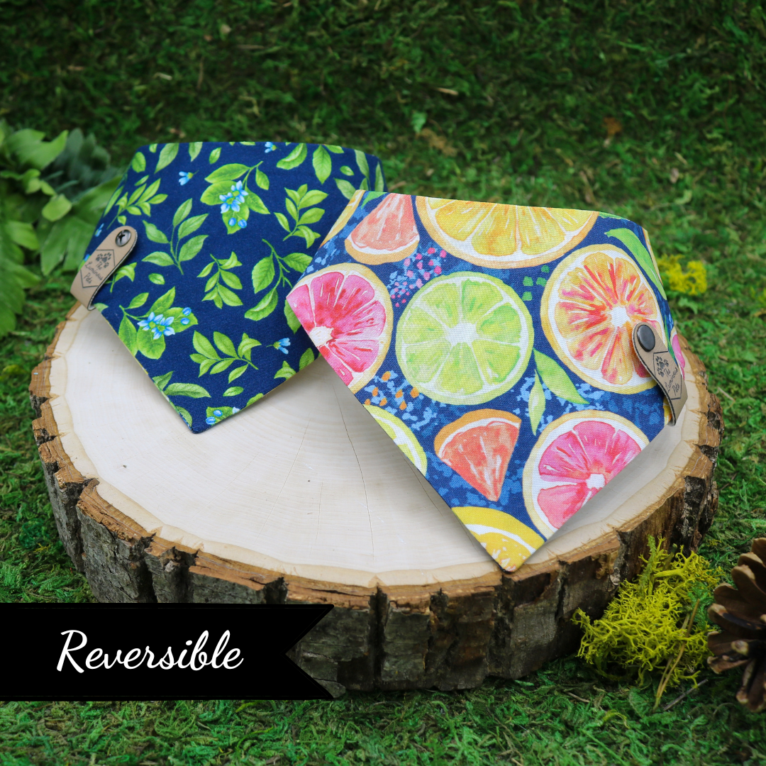 Snap on reveresible bandanas for cats and dogs by Luminous Pets - Summer citrus slices and lemon leaves