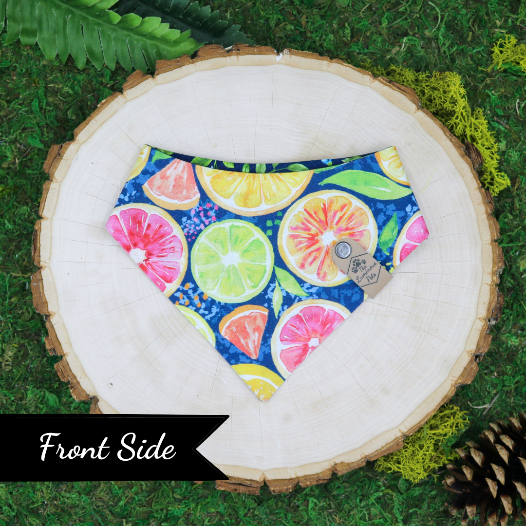 Snap on reveresible bandanas for cats and dogs by Luminous Pets - Summer citrus slices and lemon leaves