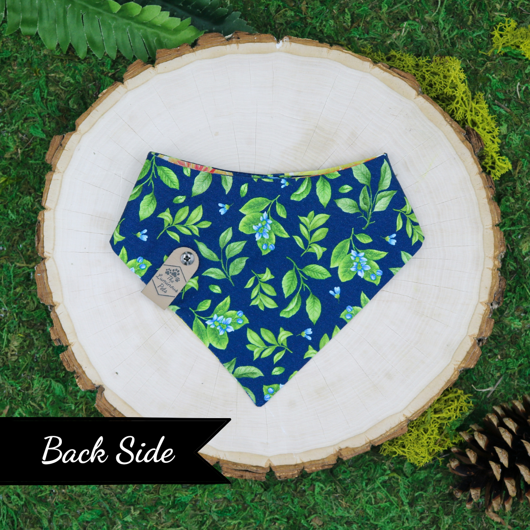 Snap on reveresible bandanas for cats and dogs by Luminous Pets - Summer citrus slices and lemon leaves