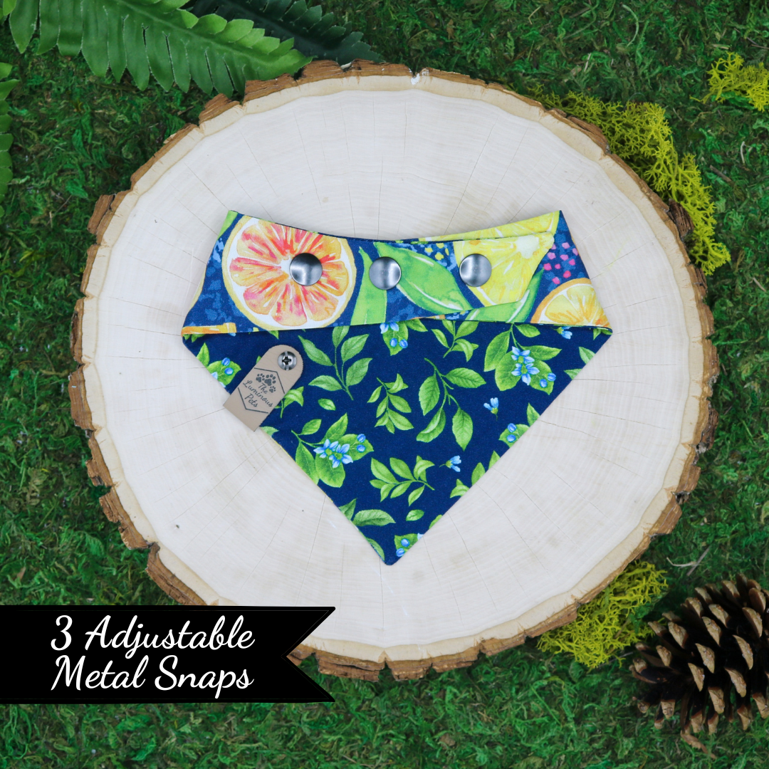 Snap on reveresible bandanas for cats and dogs by Luminous Pets - Summer citrus slices and lemon leaves